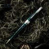 Pineider Arco Desert Beetle Ballpoint Pen, Green & Black